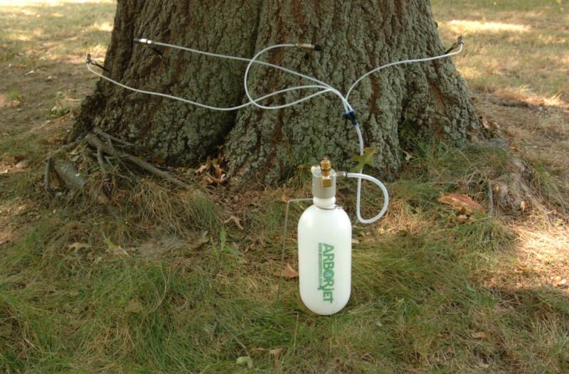 Treeage injection method